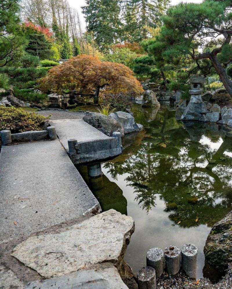 Highline SeaTac Botanical Garden: Aviation-Adjacent Zen