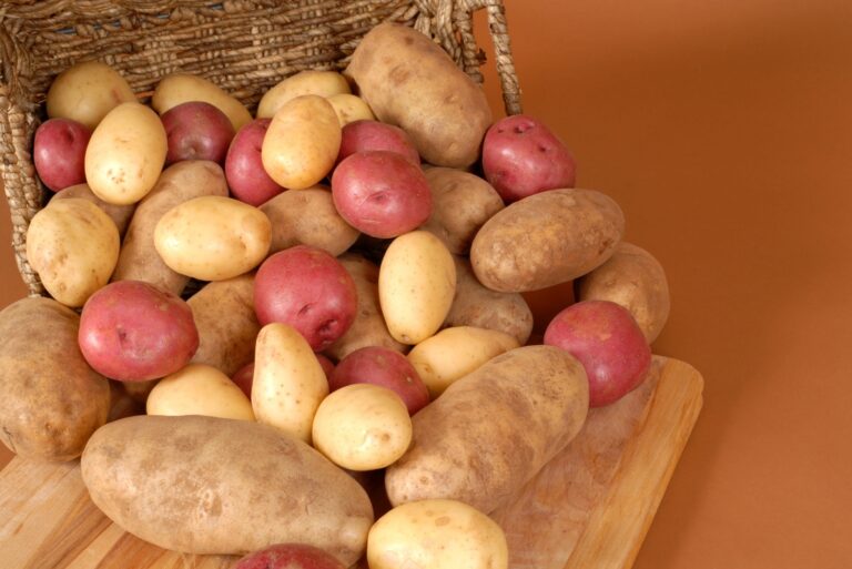 Russet, red and white potatoes spilling out of a basket