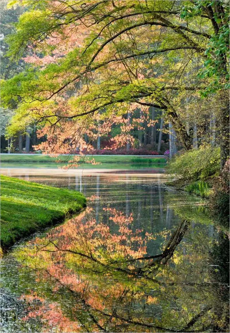 Callaway Gardens, Pine Mountain, Georgia