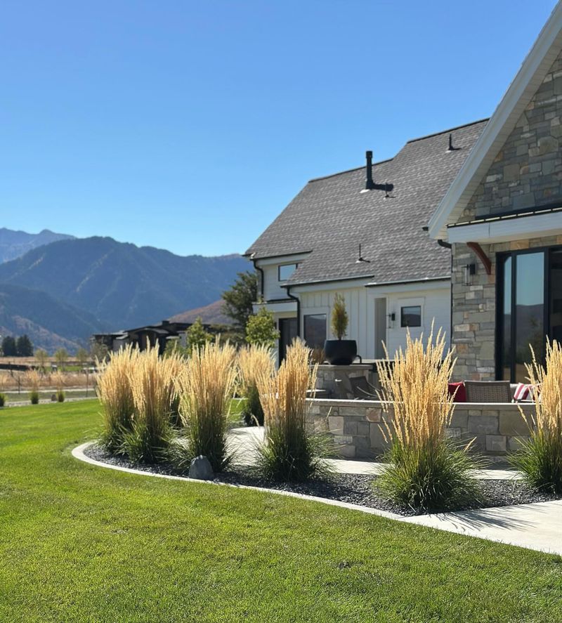 Ornamental Grasses: Wait Or Cut?
