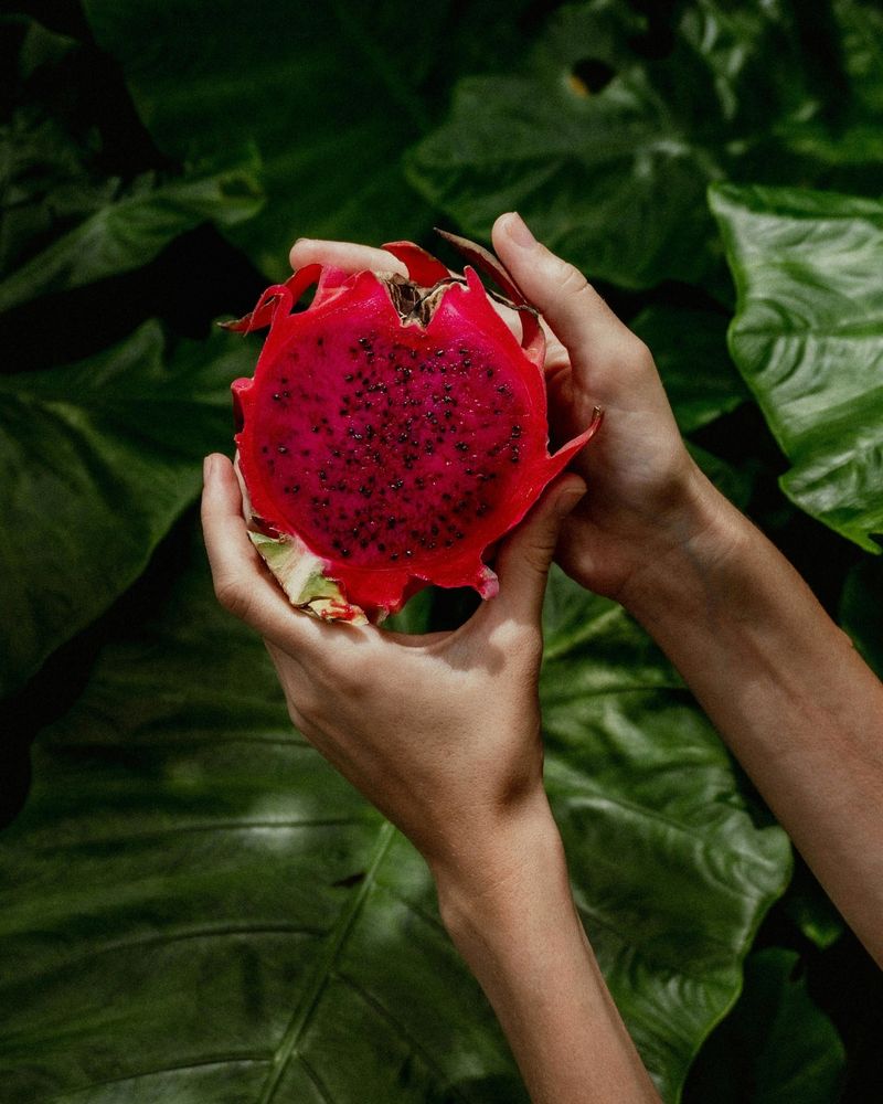 Dragonfruit
