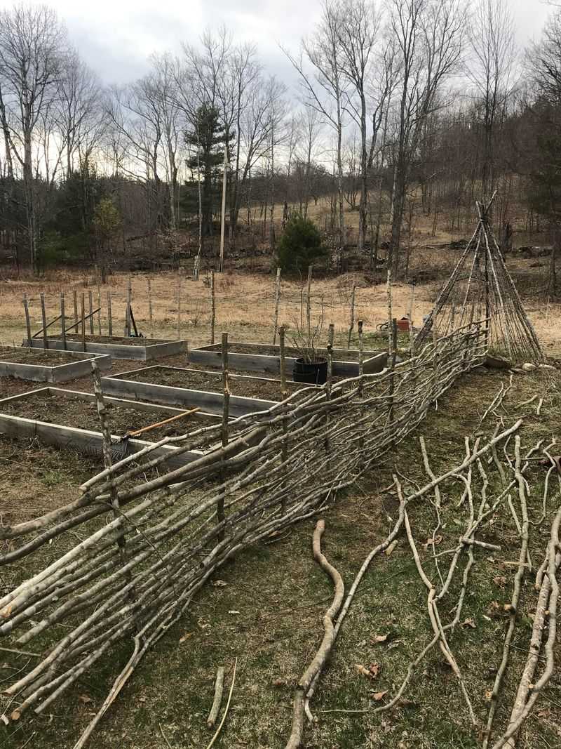 Wattle Fencing