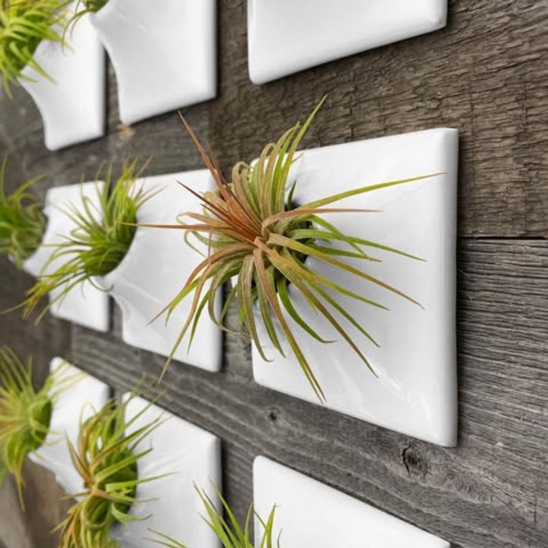 Display Options Beyond Glass Globes