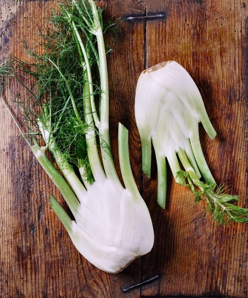 Fennel's Feathery Comeback