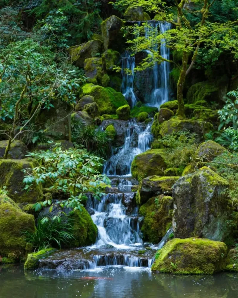 Waterfall Garden