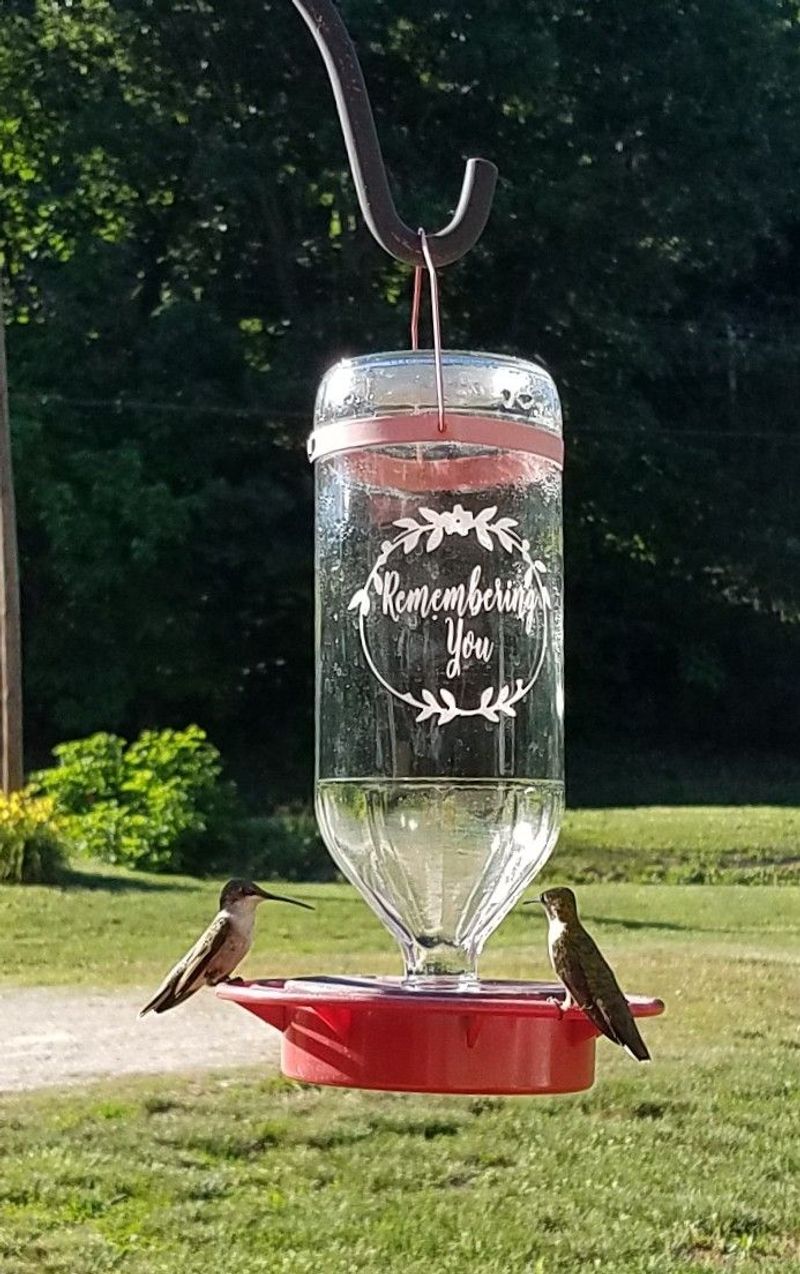 Etched Glass Nectar Station