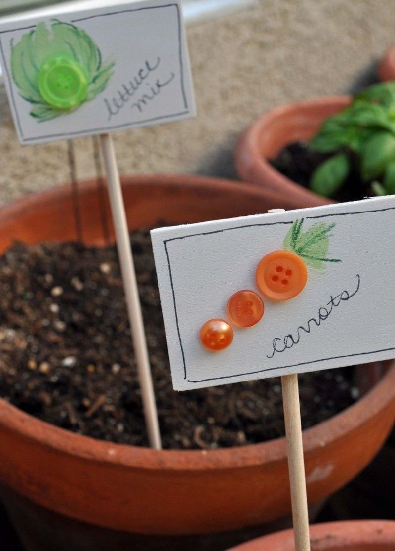 Button Plant Markers