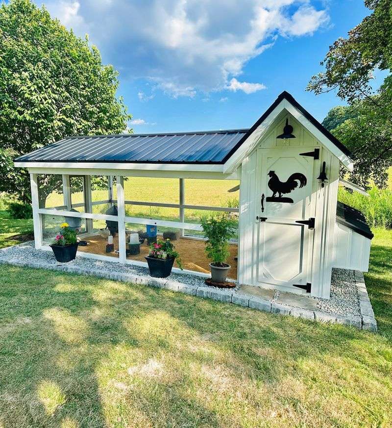 Backyard Chicken Coops