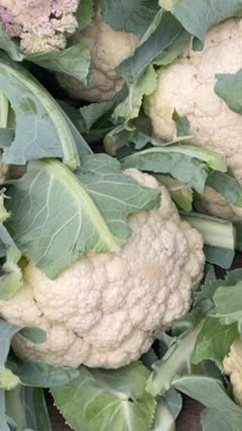 Cauliflower
