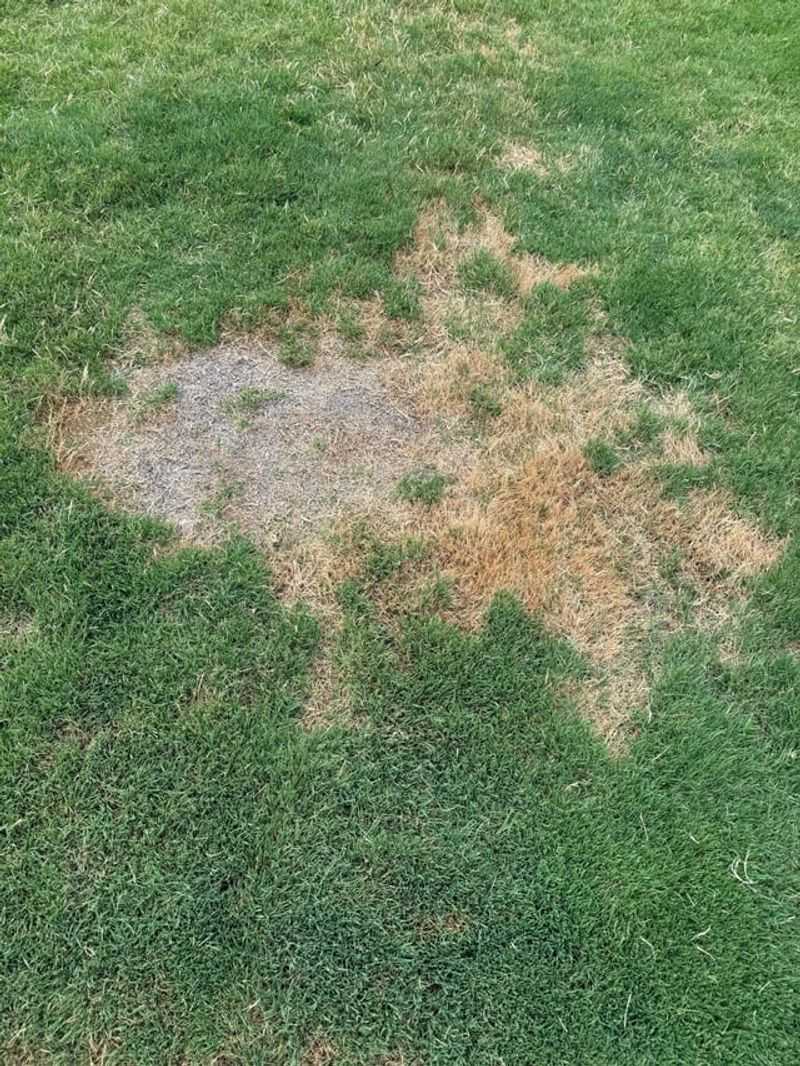 Irrigation Challenges