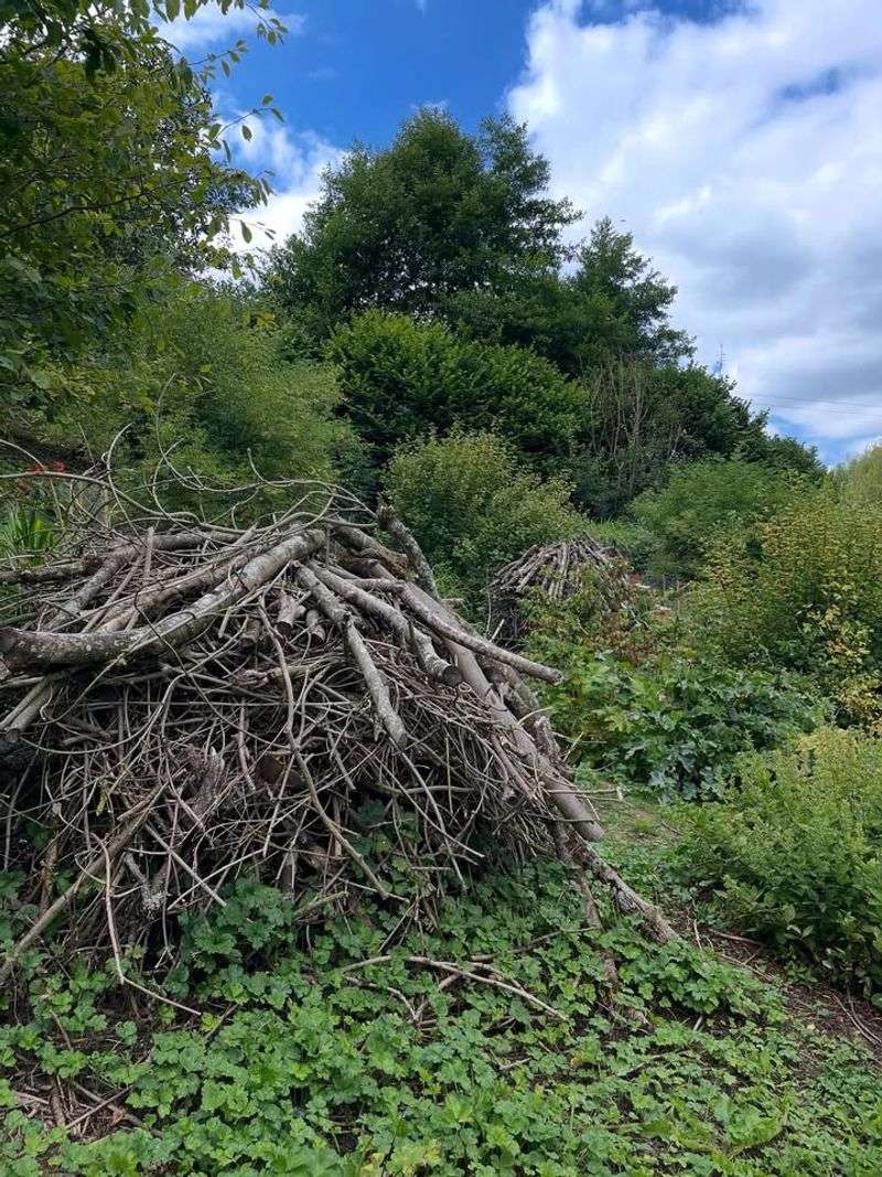 Stone Base Brush Pile