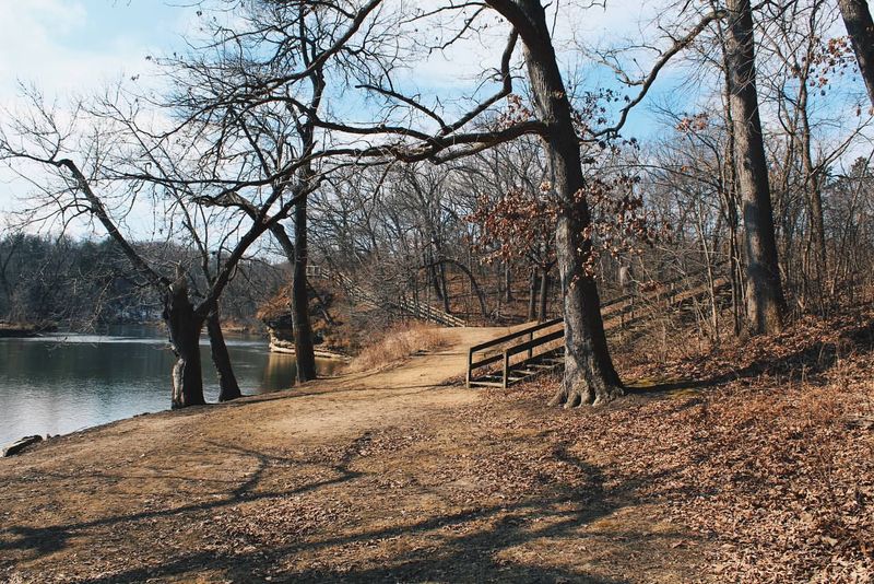 Lowden-Miller State Forest's Secret Trails