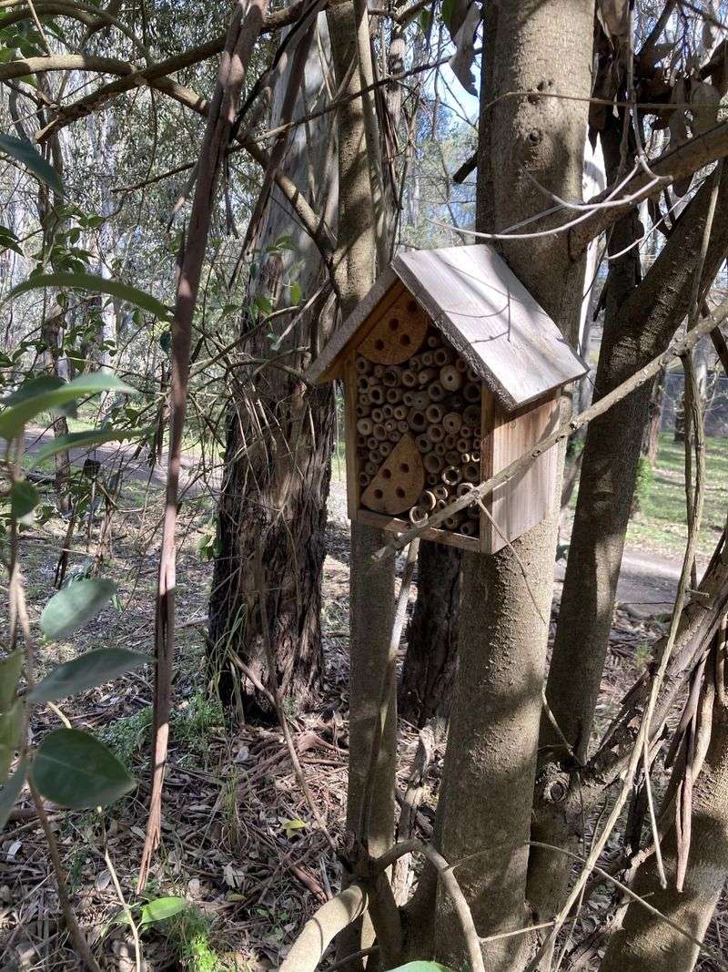 Repurpose A Birdhouse Frame