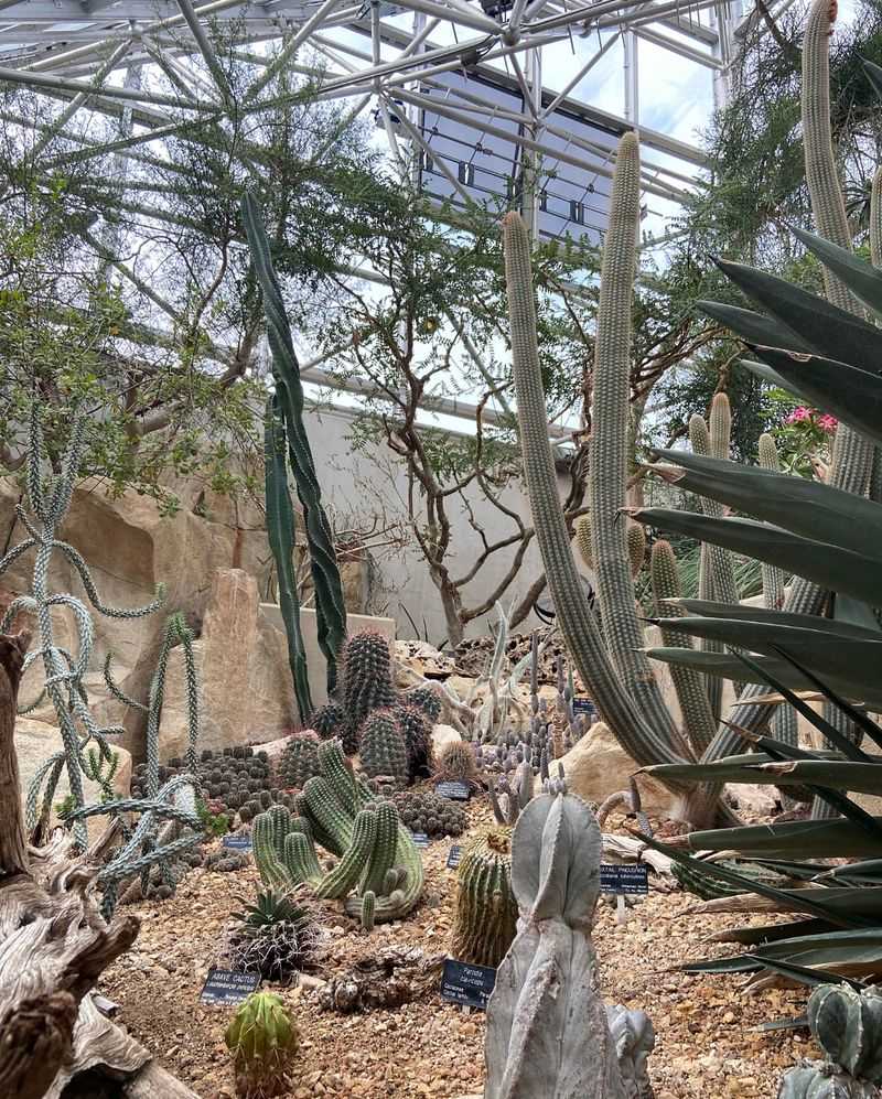 Desert Pavilion Microclimate