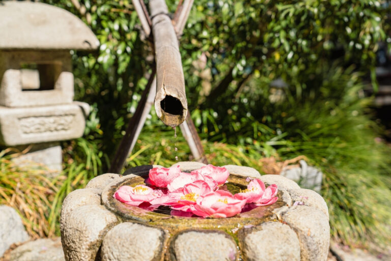 garden (featured image)