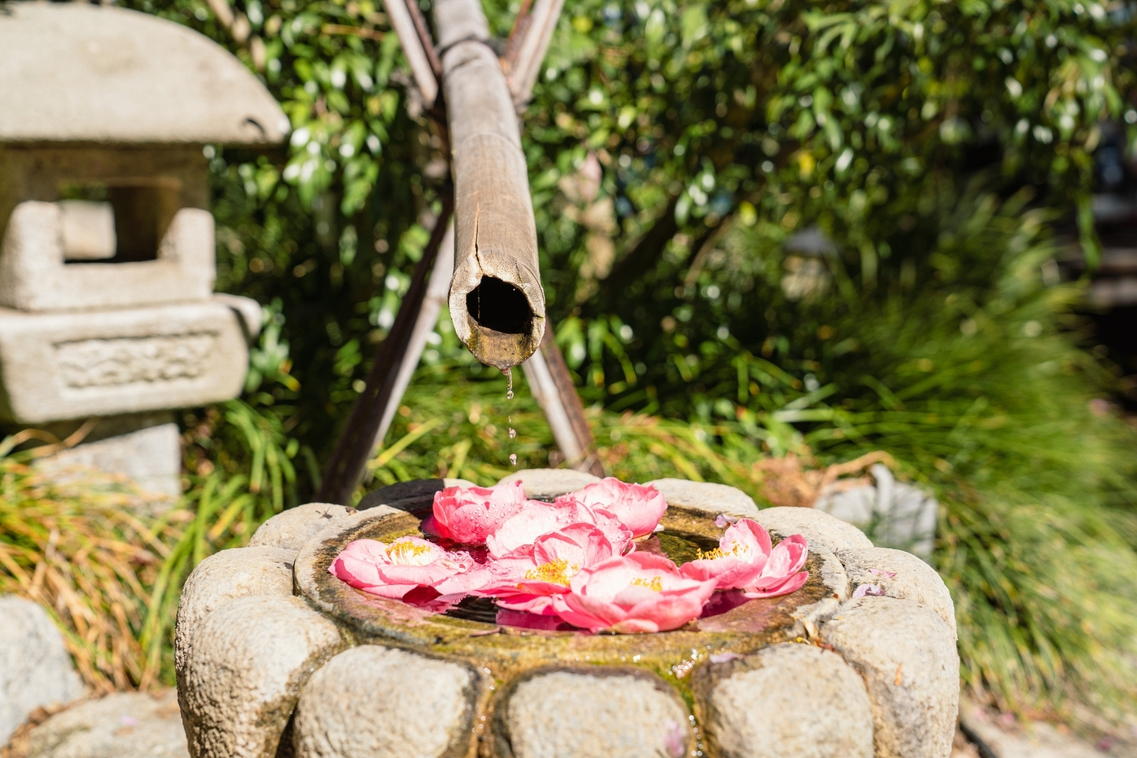California Honoring Día De Los Muertos Through Traditional Gardens
