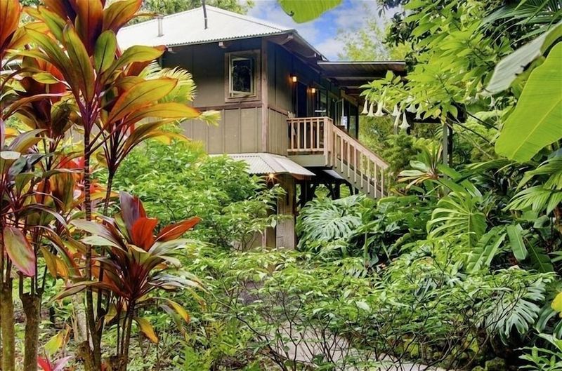 Open-Air Shower Garden With Lava Rock Flooring