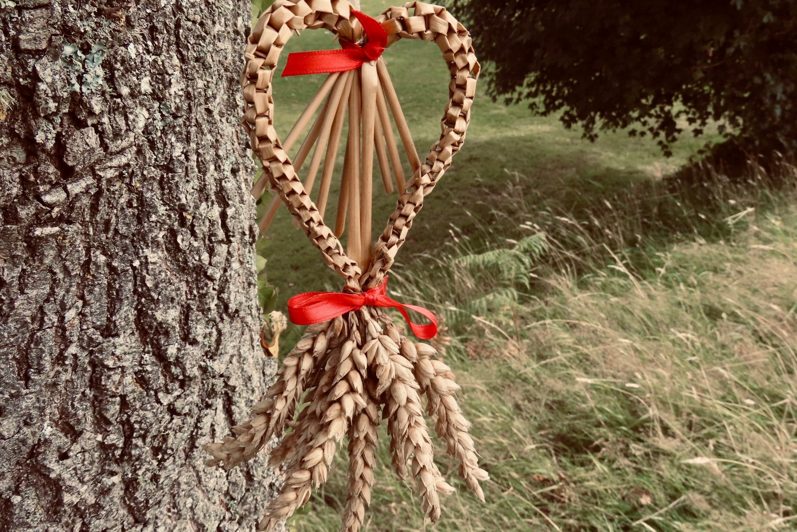 Celebrated Harvest Garden Traditions In Midwestern States