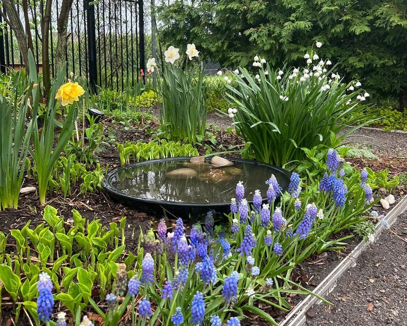 Map Your Garden Spaces