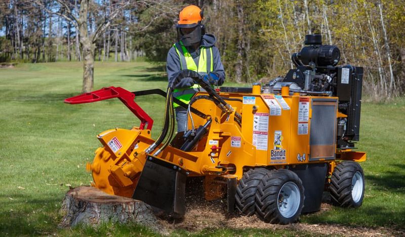 Rent a Stump Grinder
