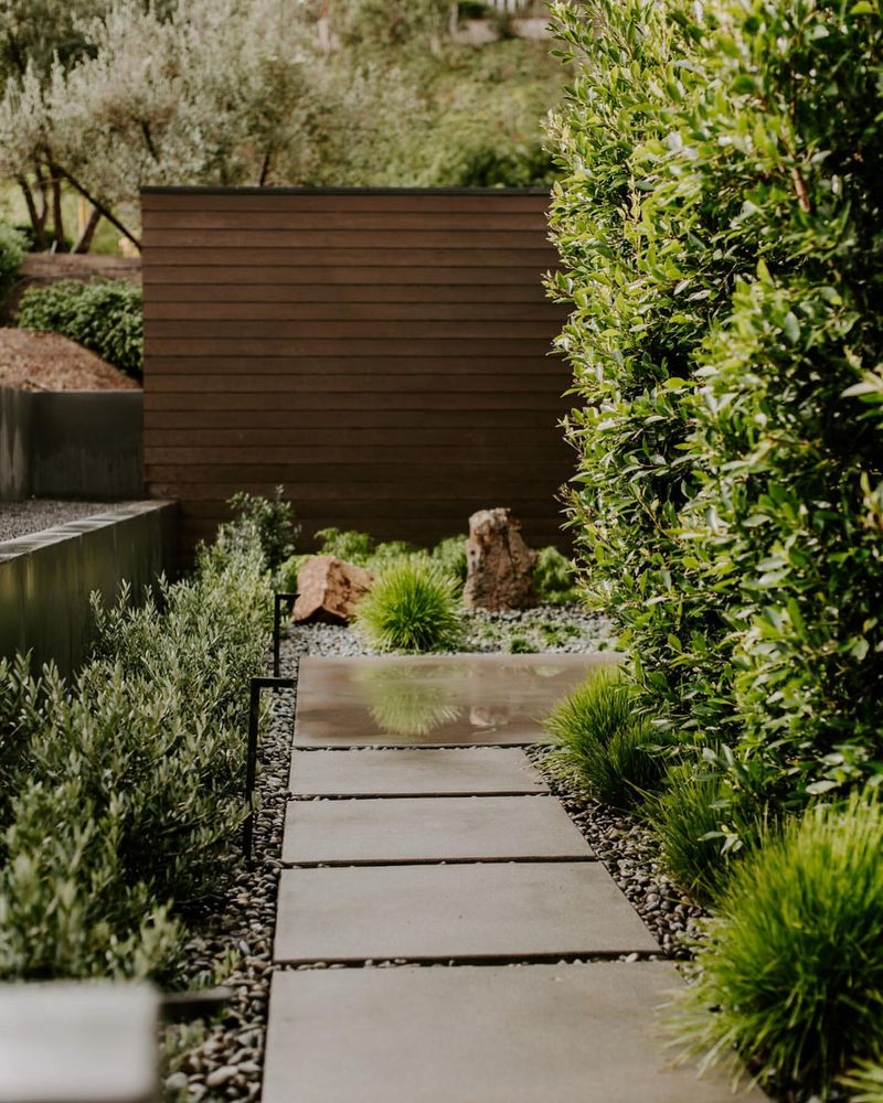 Tall Privacy Hedges
