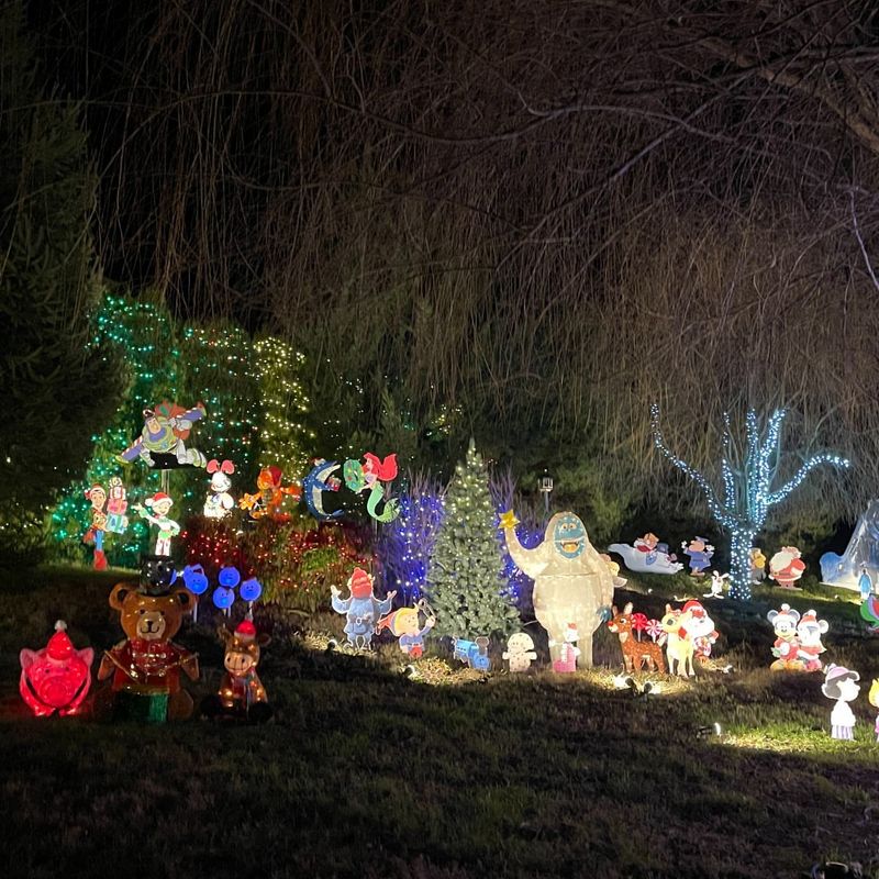 Excessive Holiday Decorations