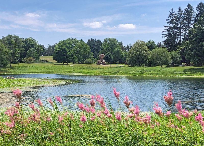 Morton Arboretum