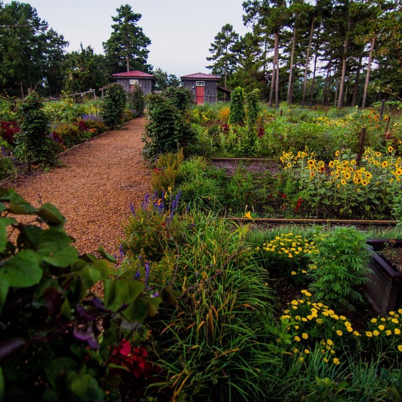Aurora's East Side Gardens