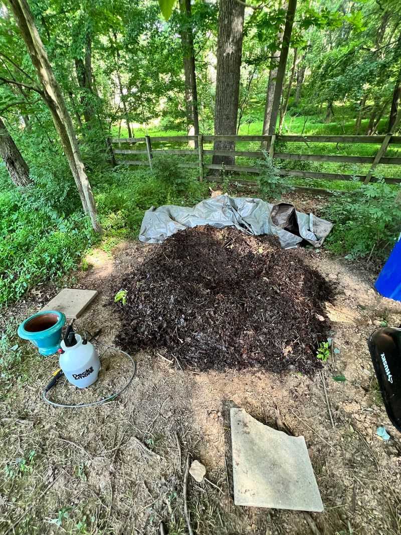 Cost-Effective For Urban Garden Budgets
