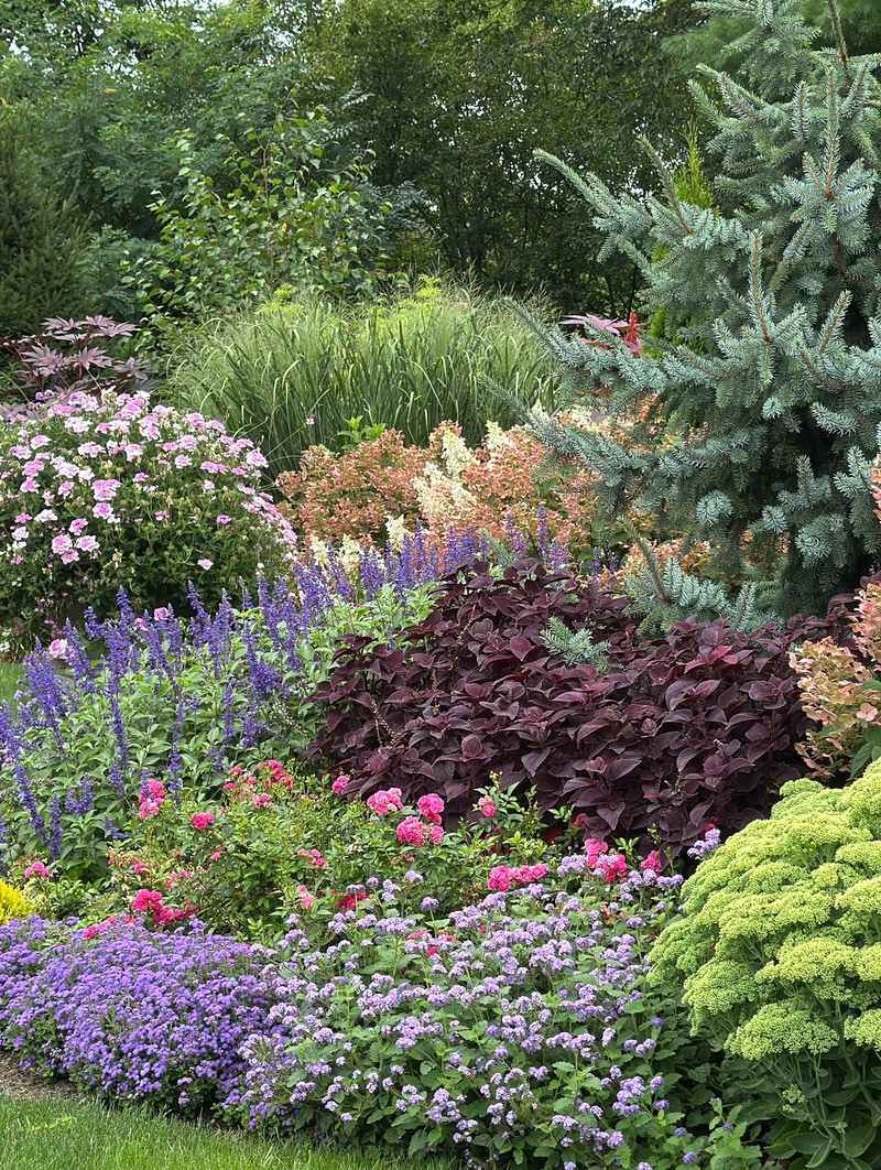 Four-Season Perennial Borders