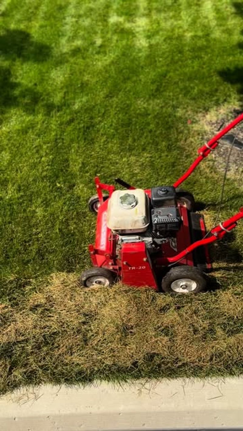 Thatch Buildup