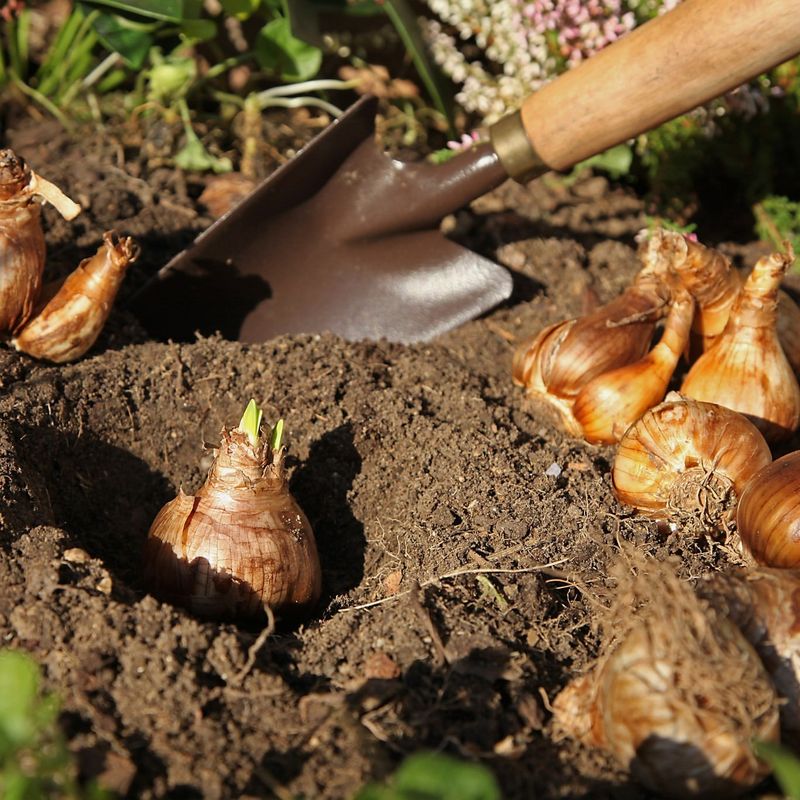 Time Your Planting Perfectly