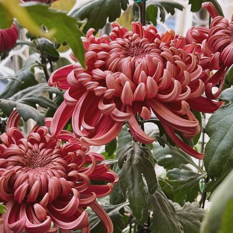 Perfect Your Watering Schedule