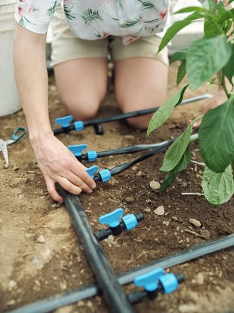 Set Up Irrigation