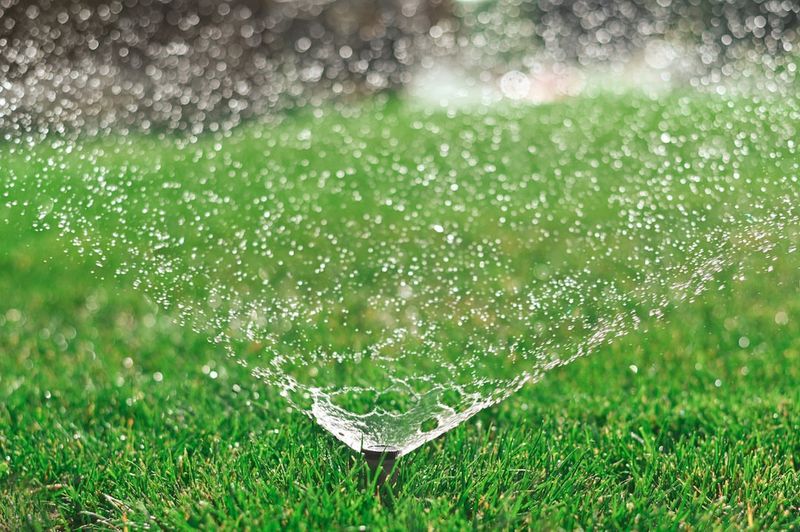 Water Properly After Fertilizing