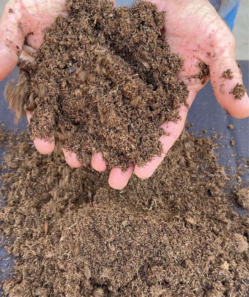 Prepare Soil That Drains Like A Dream