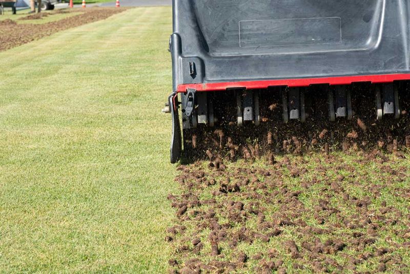 Core Aerate Compacted Areas