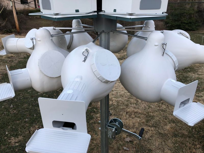 Select Appropriate Housing