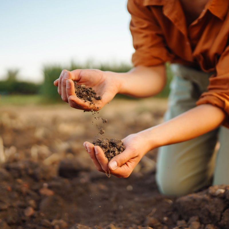 Create The Optimal Soil Environment