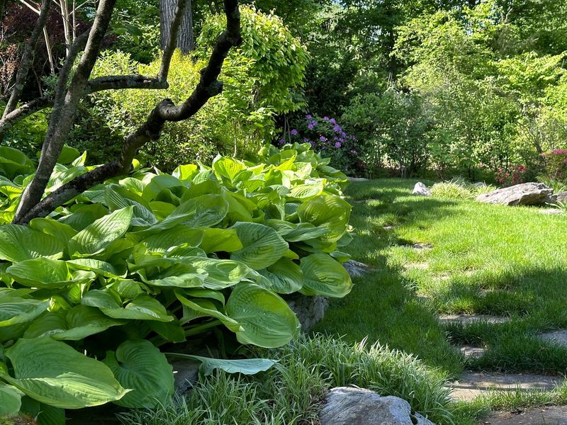 Create Microclimate Magic