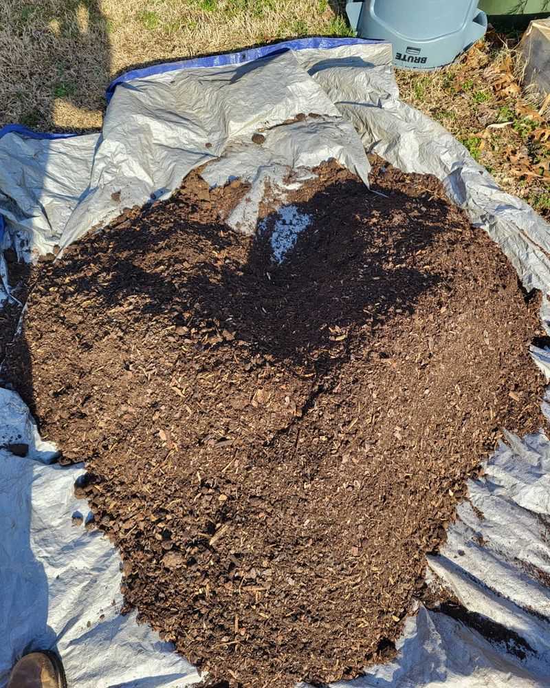 Build Healthy Soil From The Start