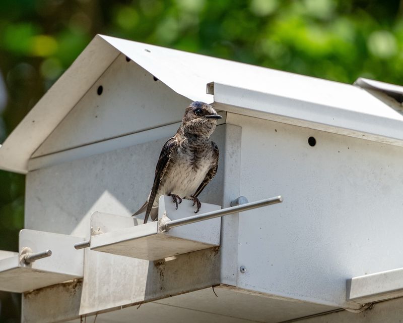 Use Proper Housing Systems