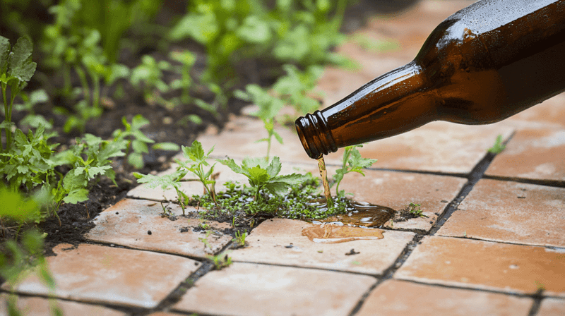 Beer Trap Slug Control