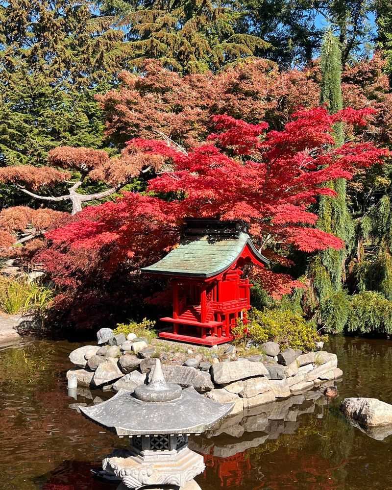 Point Defiance Japanese Garden: Tacoma's Seaside Sanctuary