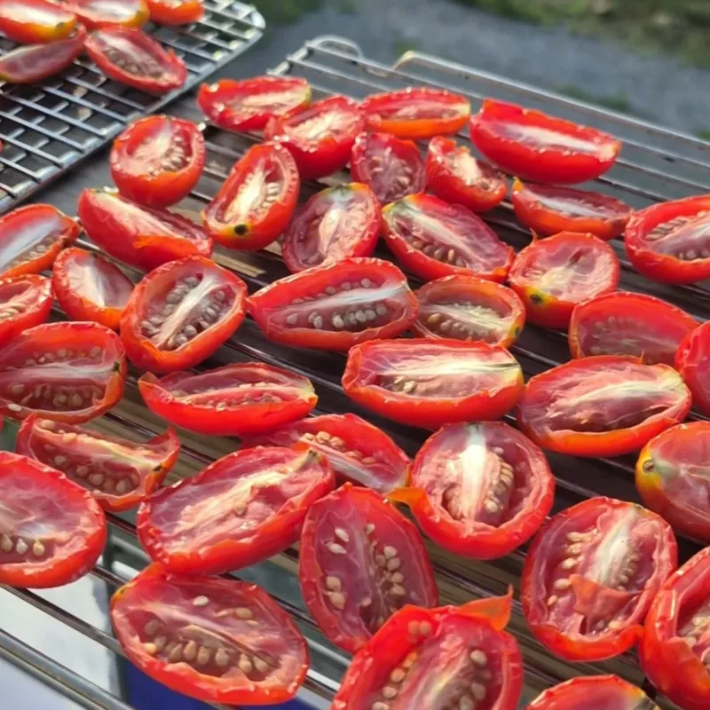 Sun-Dried Tomato Magic