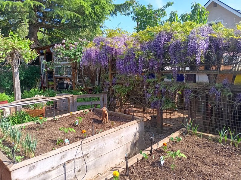 Plan Next Year's Garden