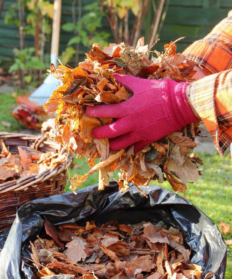 Apply Protective Winter Mulch