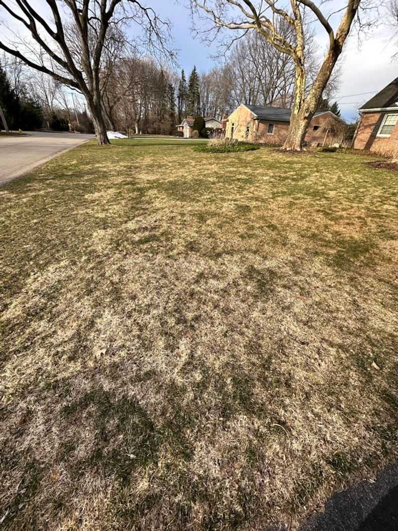 Final Mowing Preparation