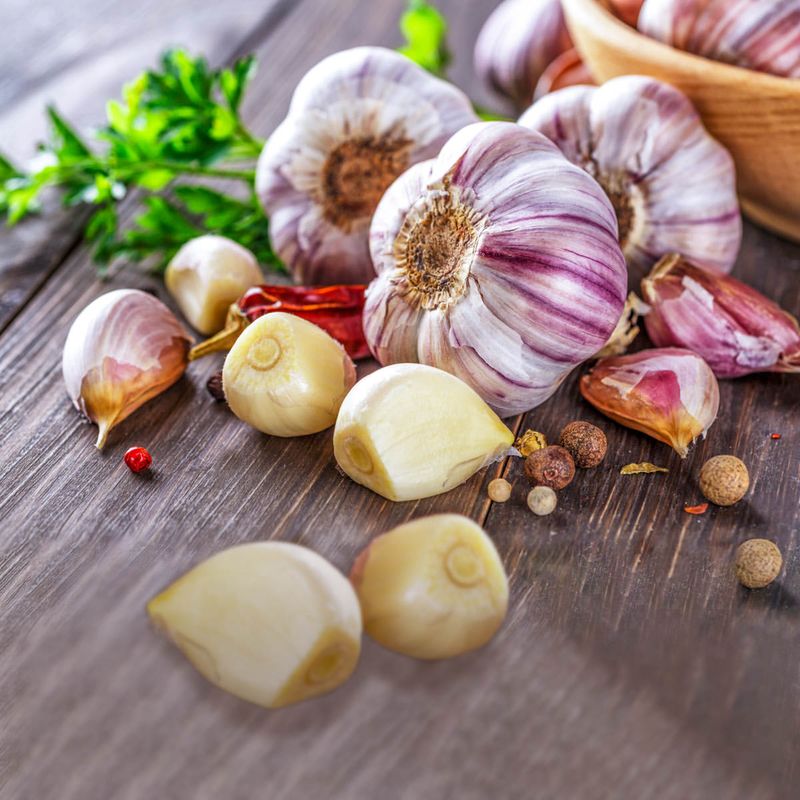 Plant Garlic