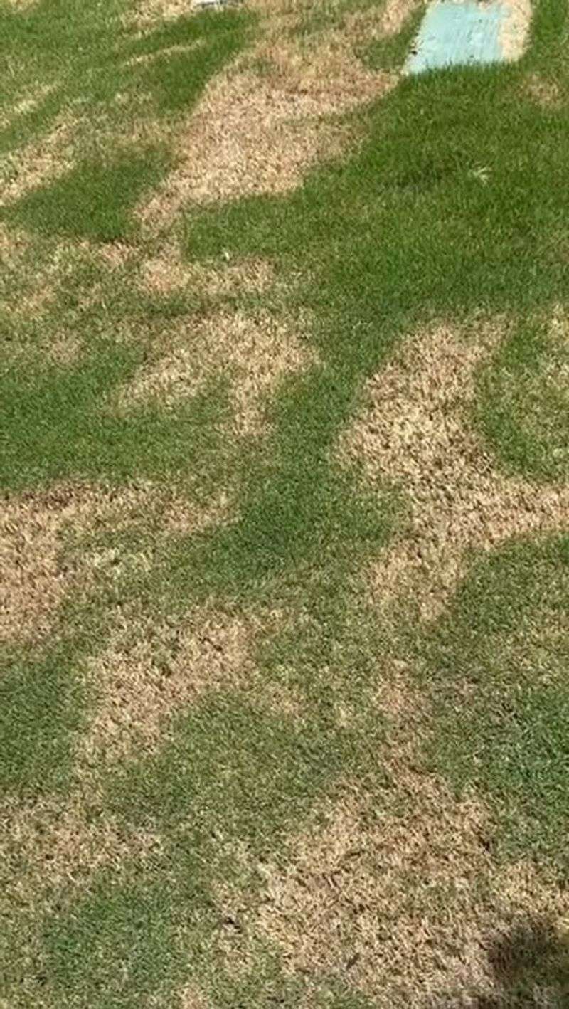 Avoid Mowing Stress Zones